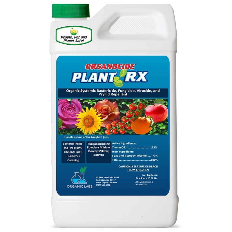 plant doctor fertilizer Plant RX 16 oz