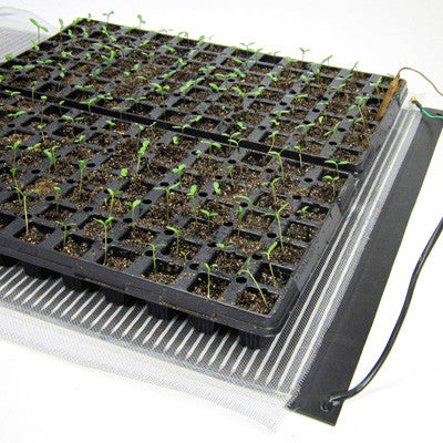 Using a Heat Mat for Plants