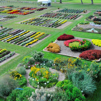 Harris Seeds' Raker-Roberta's Program