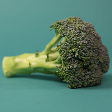 Broccoli Gypsy F1 Seed