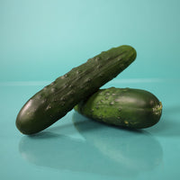 speedway herbicide Cucumber Speedway F1 Seed FILM COATED / 5,000 Seeds / FARMORE
