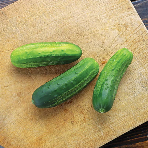 cucumber herbicides Cucumber Eureka F1 Seed – Harris Seeds