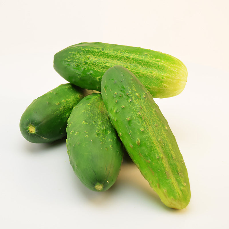 First Class Cucumber Cucumber Regal F1 Seed – Harris Seeds