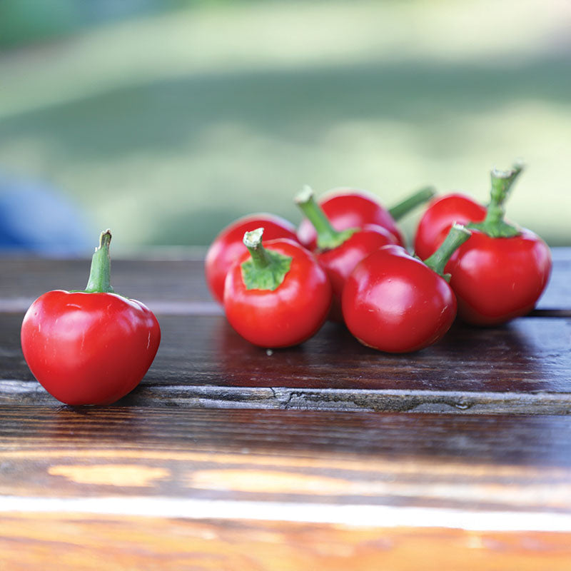30 Fresh Cherry Hots Pepper Seeds - Sweet & Spicy, Easy Grow For Gardens