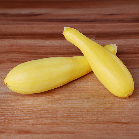 cougar herbicide Squash Cougar F1 Seed – Harris Seeds