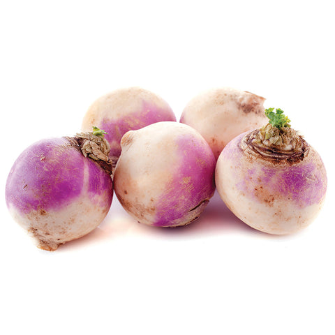plant rutabaga seeds Rutabaga American Purple Top Seed, Treated, 1/4 Pound