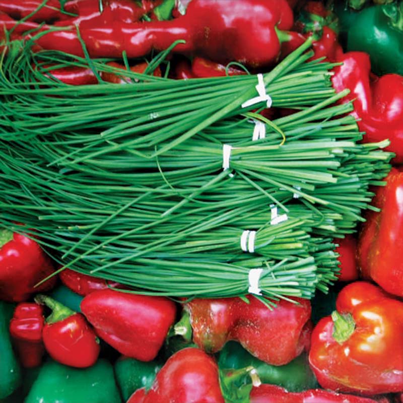 Chive Green Seed – Harris Seeds