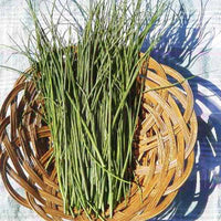 best herbicide for chives Chive Green Seed – Harris Seeds