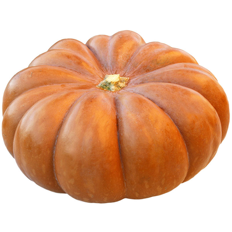 Fairytale Pumpkin Seeds Harris Seeds