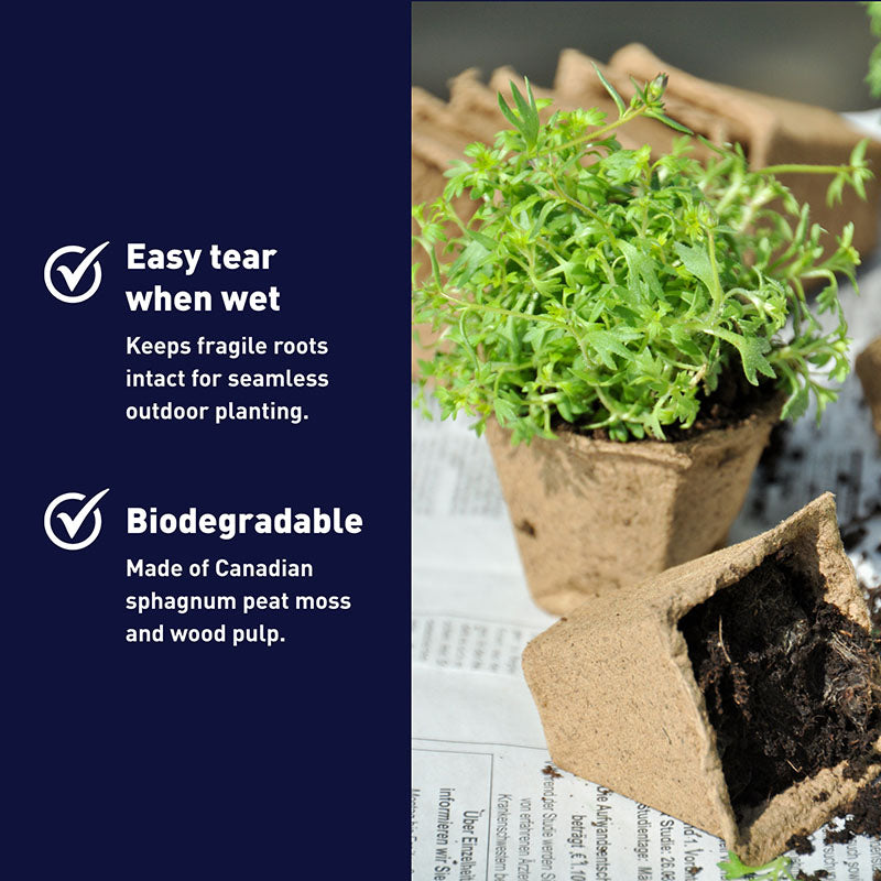 Jiffy 3" x 3" Poly-Pak Pot Sheets