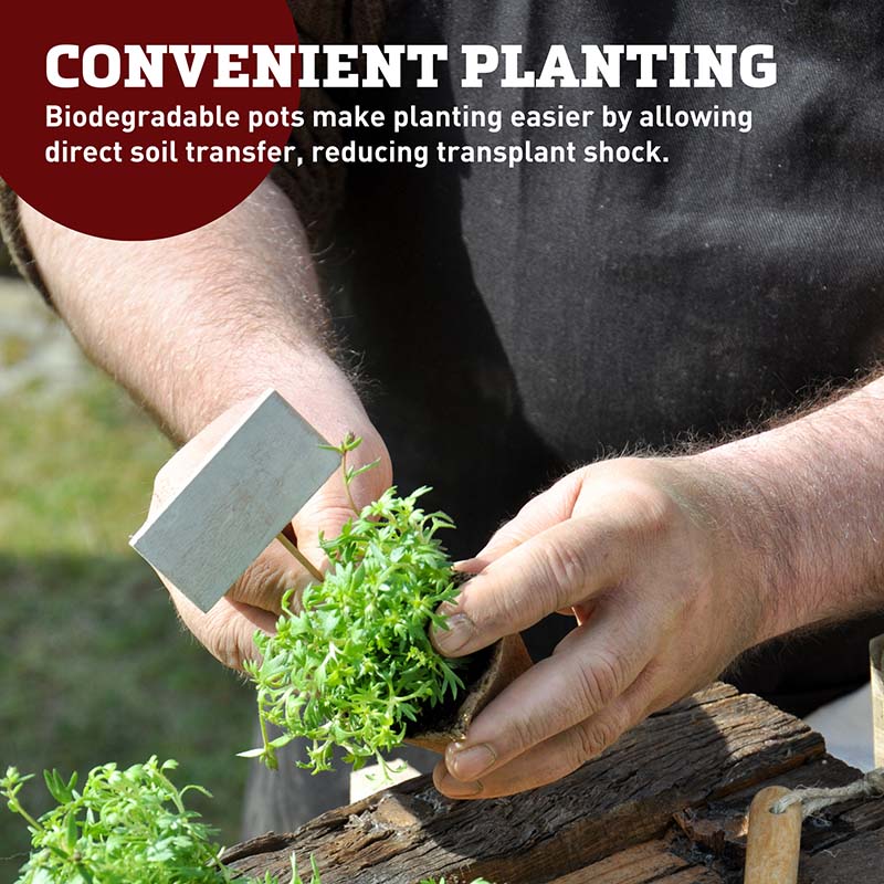 Jiffy 3" x 3" Poly-Pak Pot Sheets