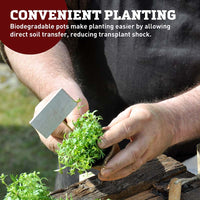 Jiffy 3" x 3" Poly-Pak Pot Sheets