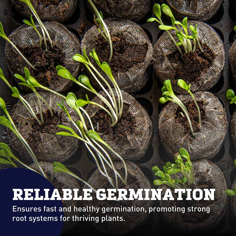 planting seeds in jiffy pellets Jiffy Medium Pellets – Harris Seeds