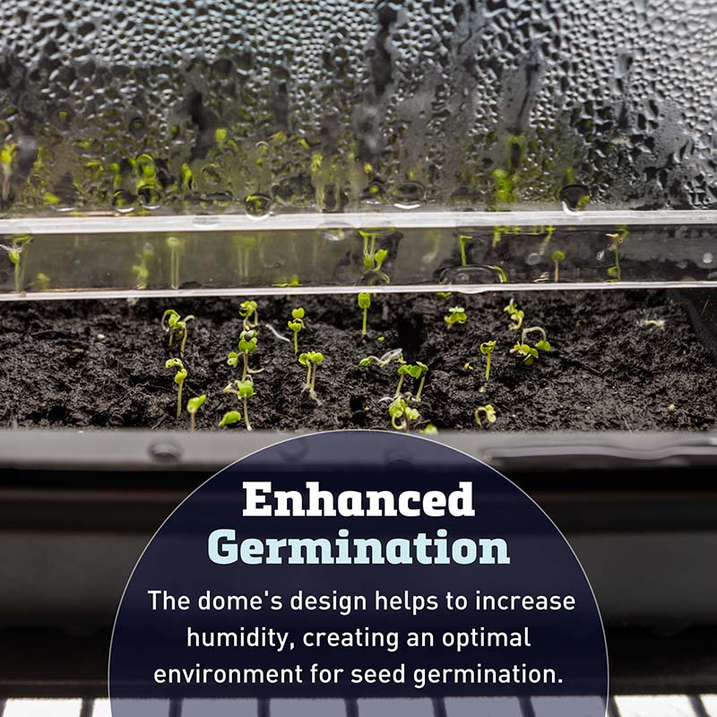 thumbnail image 2 of Plant Germination Trays - UK / Plant Germination Trays / Plant 2 of 9