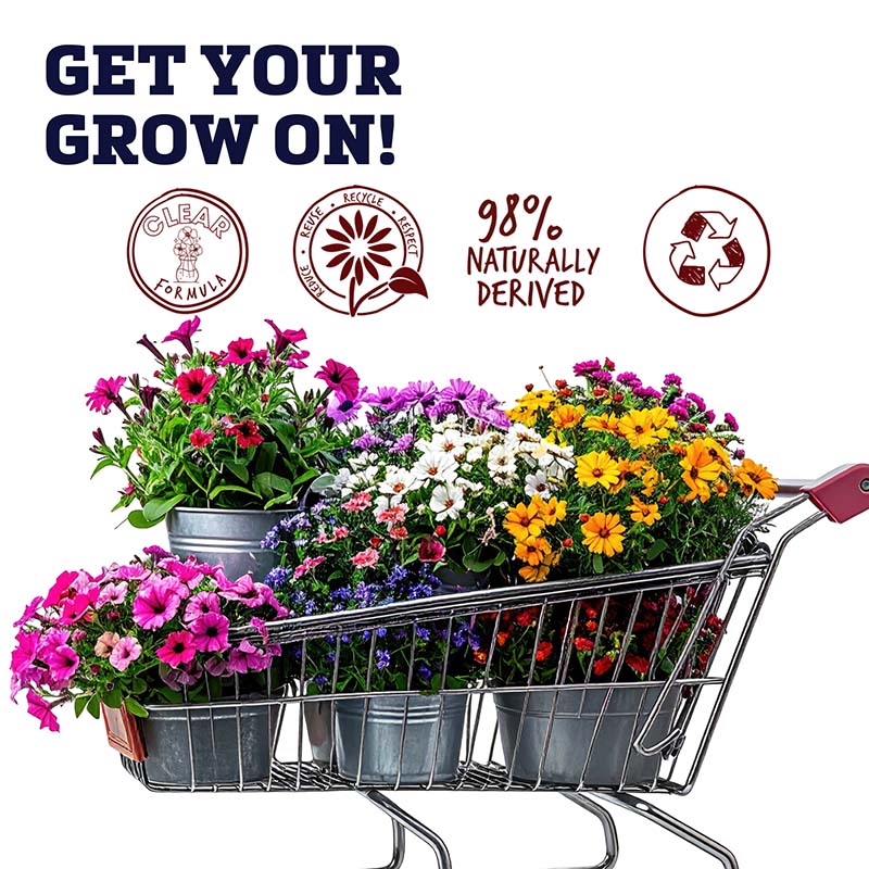 Floralife Crystal Clear Flower Food Pkts