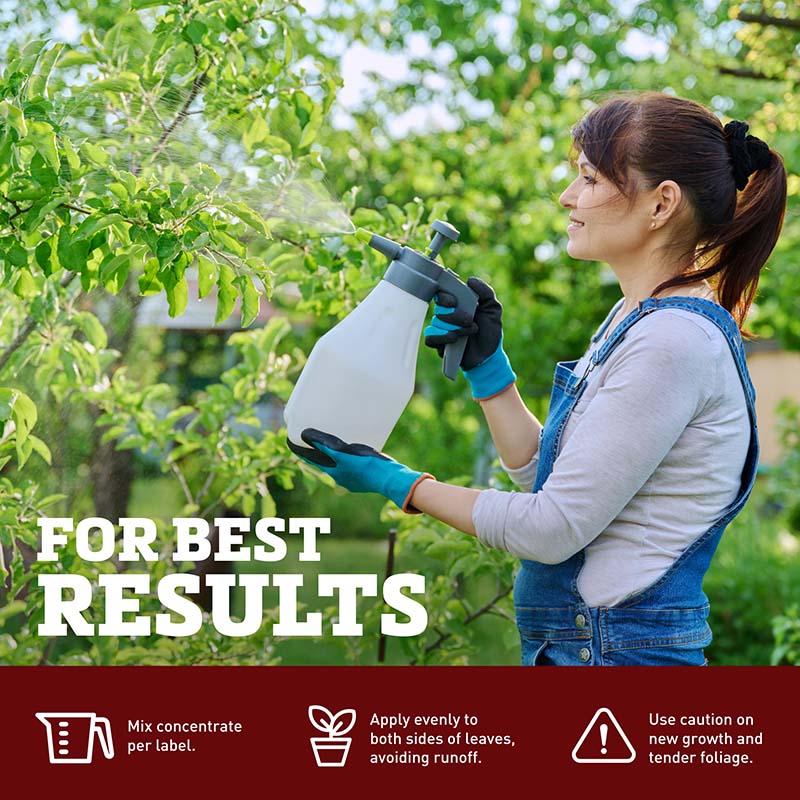 Bt For Caterpillars (Thuricide) 16 oz.