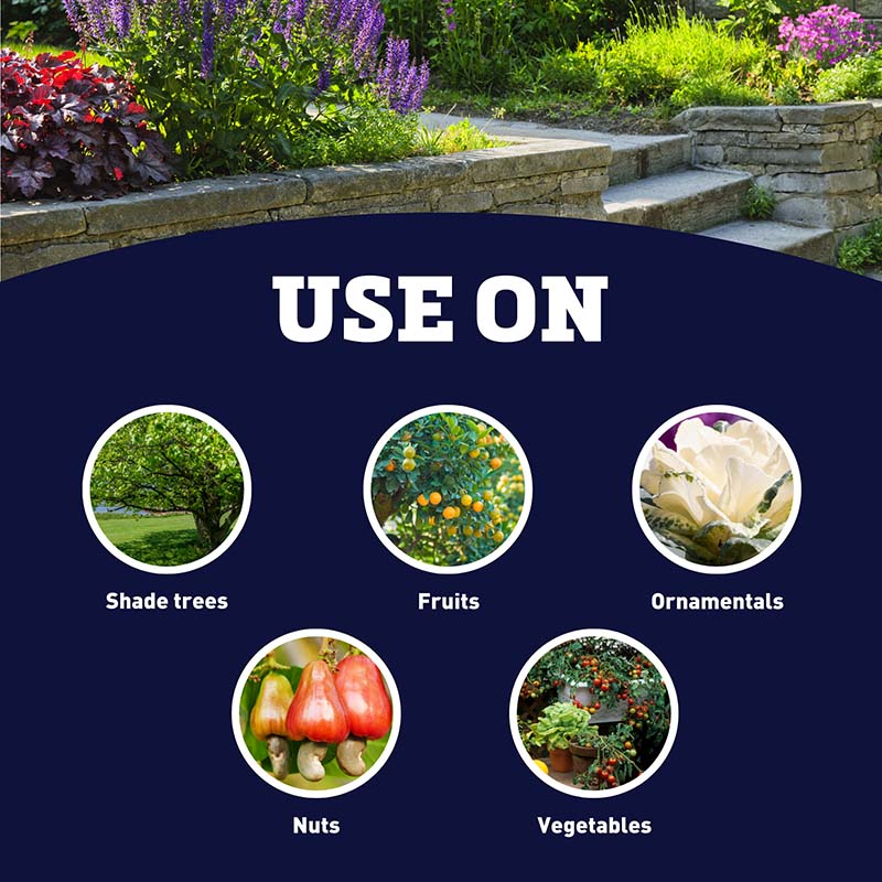 Bt For Caterpillars (Thuricide) 16 oz.