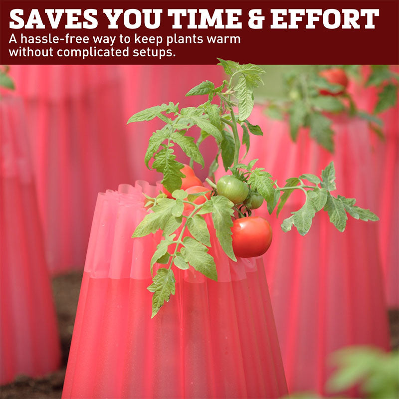 plastic plant protectors garden Kozy Coats Plant Protector – Harris Seeds