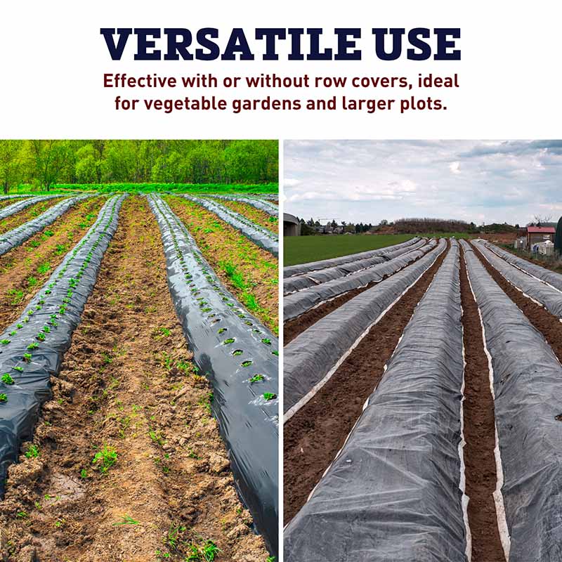 black plastic for plants Harris Seeds, Black Plastic Mulch 3' x 2000' 1 Each