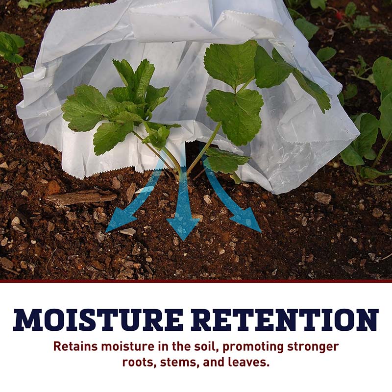 Hotkaps Regular (20)