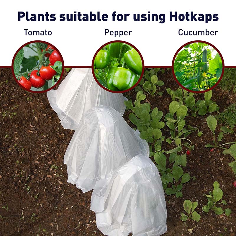 plant plastic cover Hotkaps King Size (20)