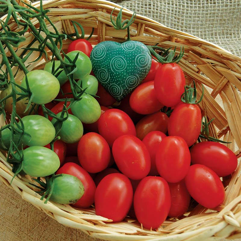 Tomato Sweet Hearts F1 Seed