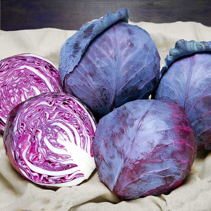 Cabbage Ruby Ball Improved F1 Seed