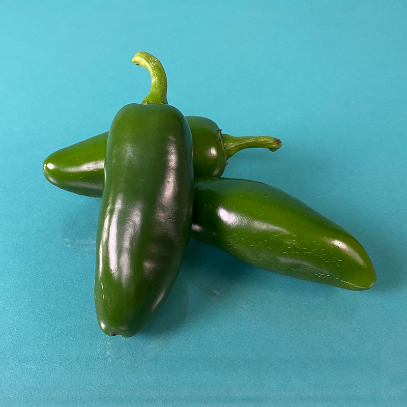 Pepper Dante F1 Seed – Harris Seeds
