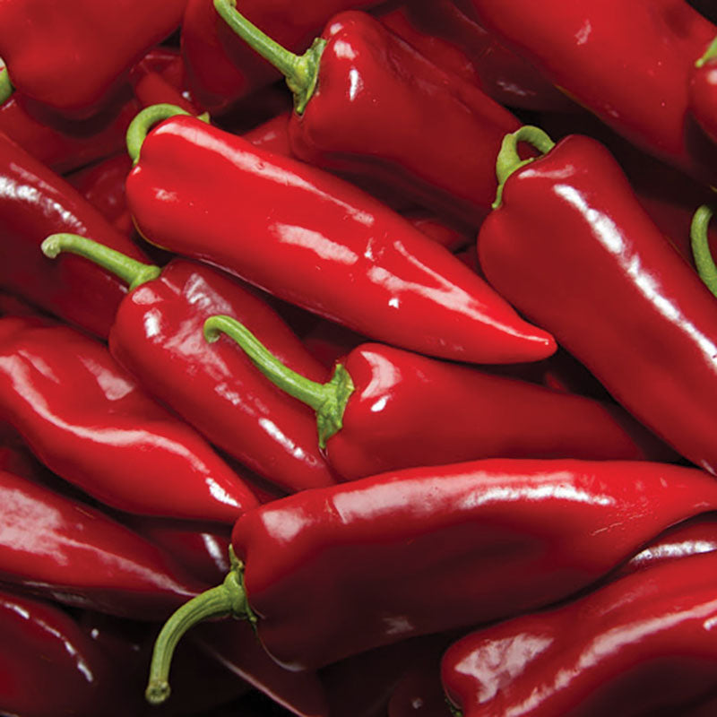 Pepper Stocky Red Roaster Organic Seed – Harris Seeds