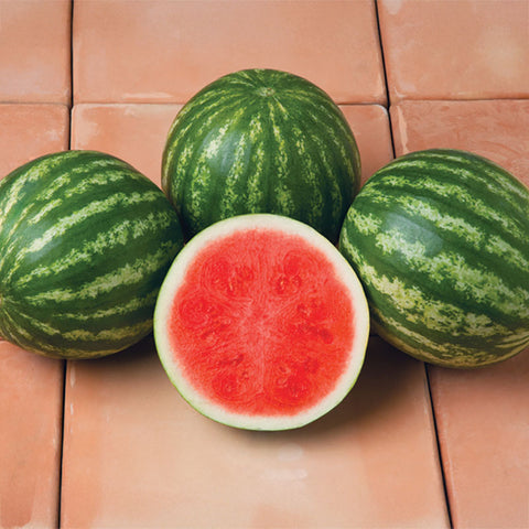 sirius herbicide Watermelon Sirius F1 Seed – Harris Seeds