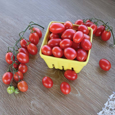 rosada cherry tomato seeds Tomato Pink Champagne Organic Seed RAW / 50 seeds / Organic