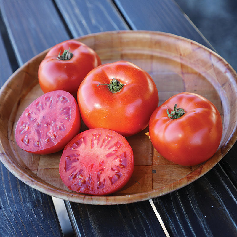 12997.jpg?v=1740107198&width=480