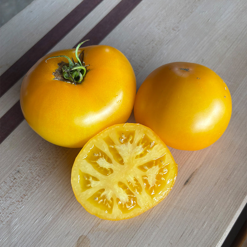 Tomato Lemon Boy Plus F1 Seed