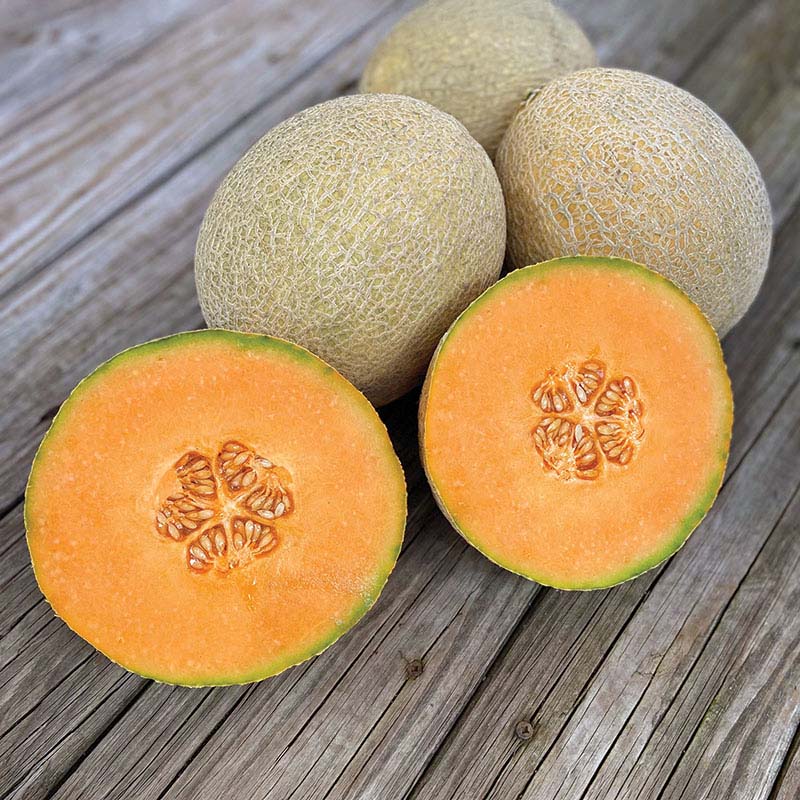 ■MELON＊■ 13136_f5609c2c-fc5f-4da3-af22-