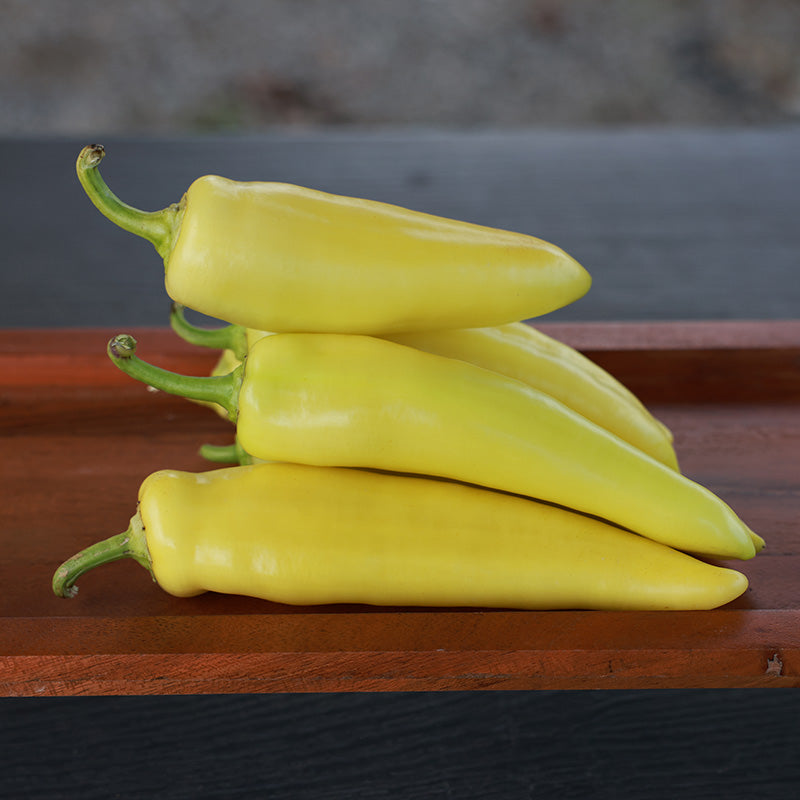 Pepper Doblon F1 Seed