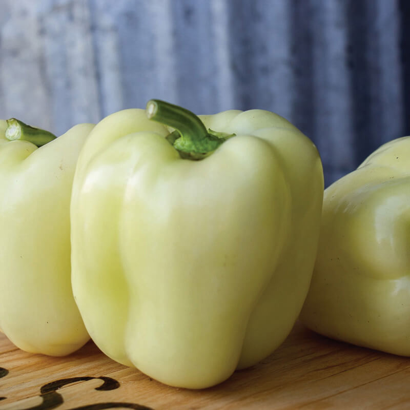 Pepper Valahia F1 Seed – Harris Seeds