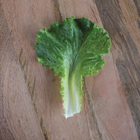 Lettuce Hulk Seed