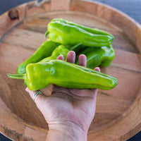 Pepper Exuma F1 Seed