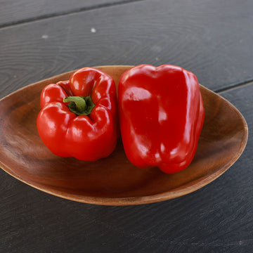 Pepper Redfish F1 Seed