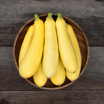 Squash Smooth Operator F1 Seed