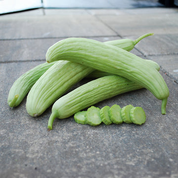 Cucumber Armenian Pale Green Seed