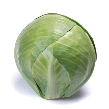 Cabbage Ovation F1 Seed
