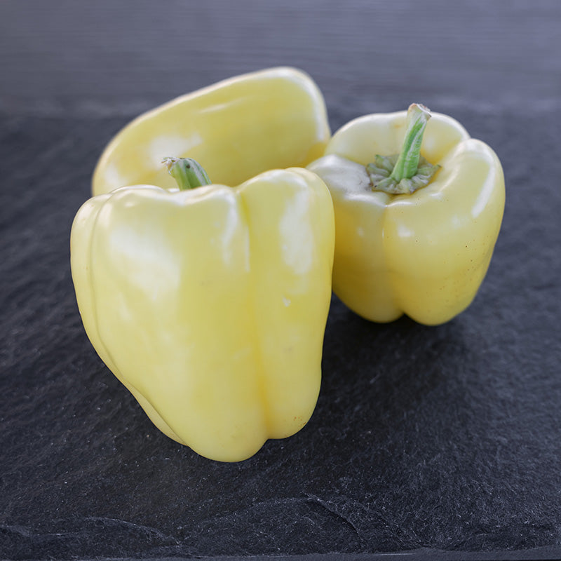 Pepper Silverado F1 Seed – Harris Seeds