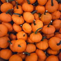 Pumpkin Carrot Cake F1 Seed