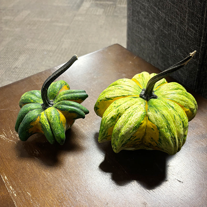 Gourd Big Sis Daisy Mix Seed