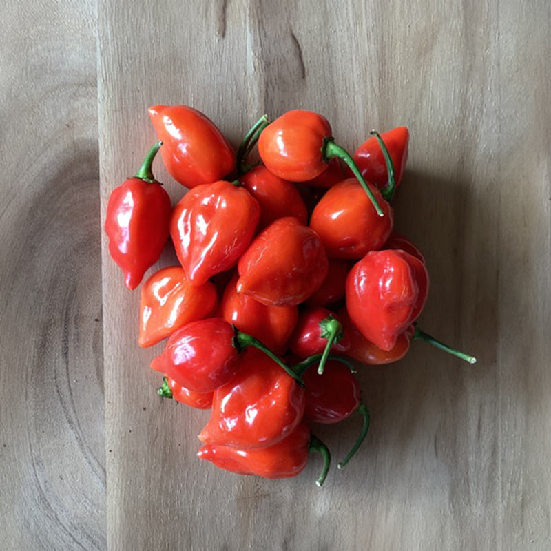 Pepper Red Savina Seed