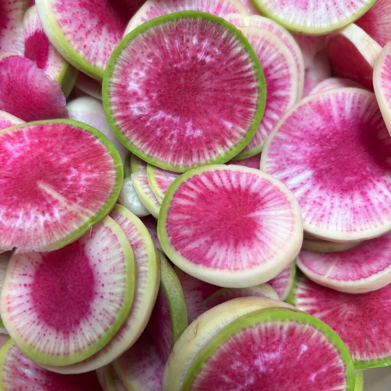Radish Redheart F1 Seed