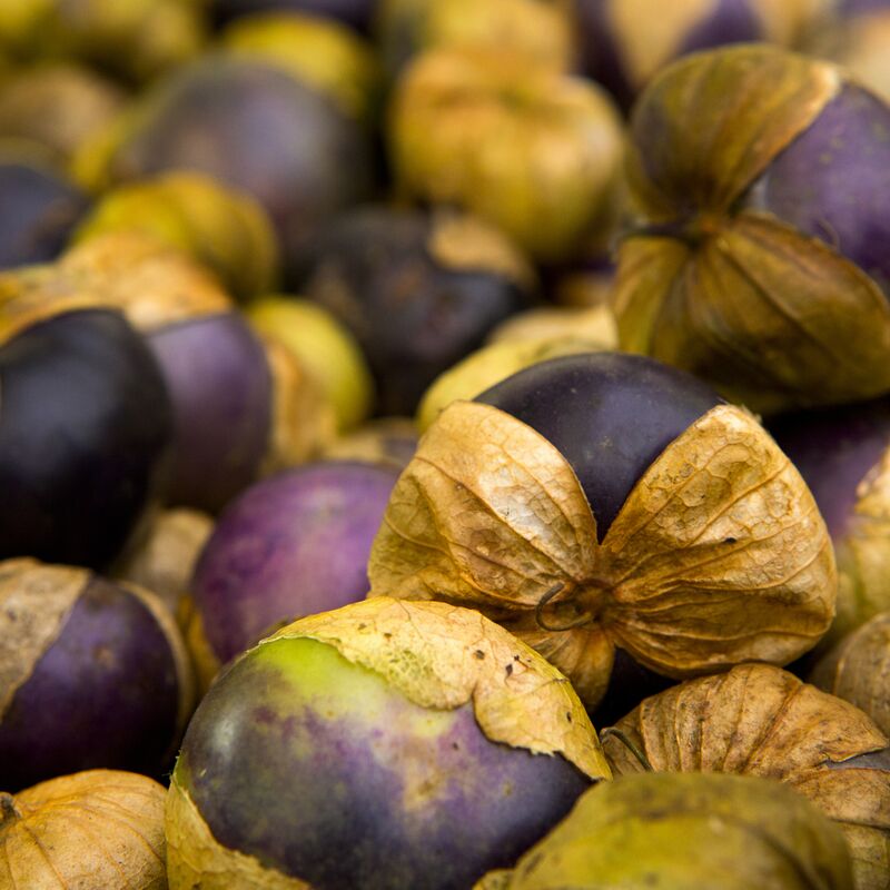 Tomatillo Purple Seed