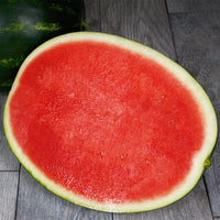 Watermelon Sierra Nevada F1 Seed