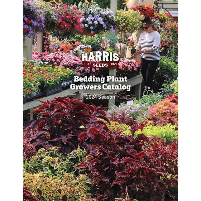 2024 Harris Seeds Ornamental Bedding Plant Growers Seed Catalog (FREE)